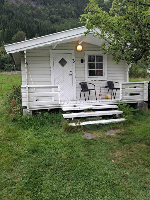 Et billede, der indeholder udendrs, grs, plante, tr

AI-genereret indhold kan vre ukorrekt.