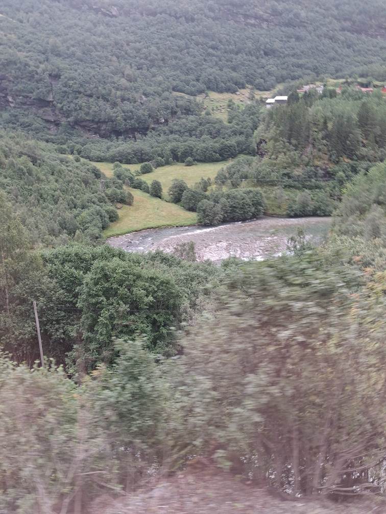 Et billede, der indeholder udendrs, tr, plante, bjerg

AI-genereret indhold kan vre ukorrekt.