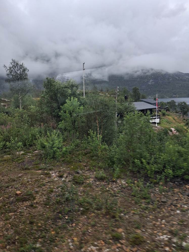 Et billede, der indeholder udendrs, sky, plante, tr

AI-genereret indhold kan vre ukorrekt.