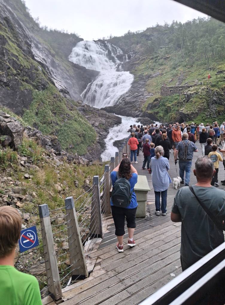 Et billede, der indeholder udendrs, person, natur, tj

AI-genereret indhold kan vre ukorrekt.