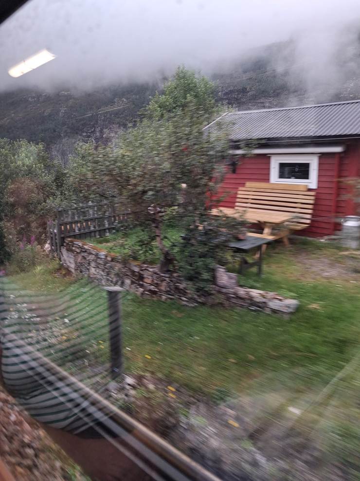 Et billede, der indeholder udendrs, plante, grs, sky

AI-genereret indhold kan vre ukorrekt.