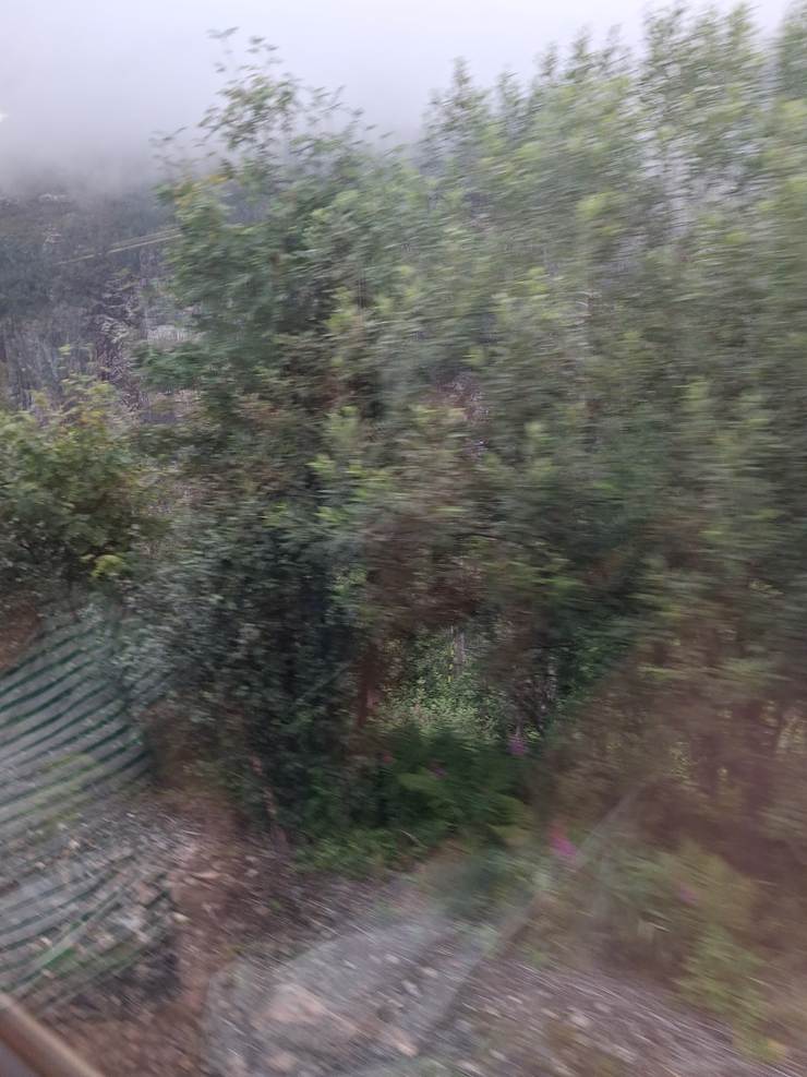 Et billede, der indeholder udendrs, tr, tge/dis, sky

AI-genereret indhold kan vre ukorrekt.