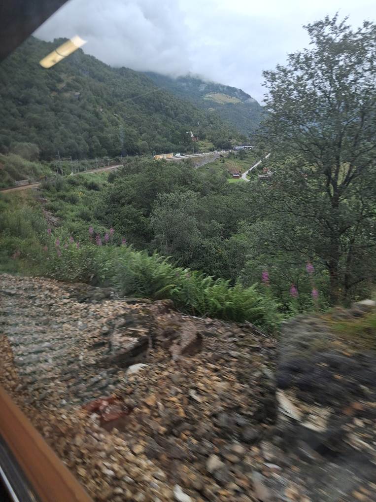 Et billede, der indeholder udendrs, sky, tr, tog

AI-genereret indhold kan vre ukorrekt.