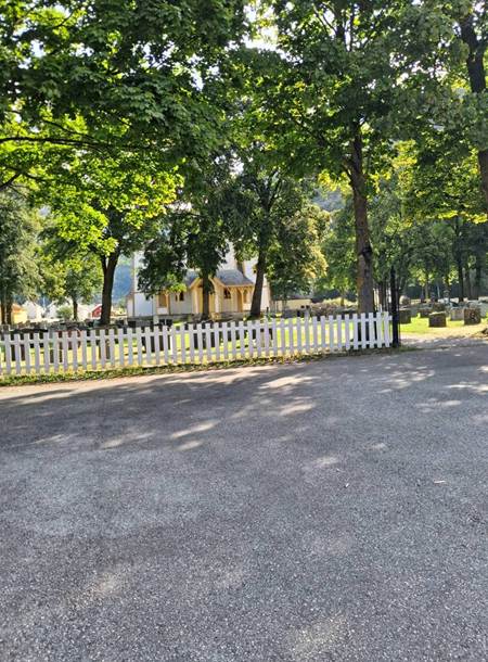 Et billede, der indeholder udendrs, tr, vej/gade, jord

AI-genereret indhold kan vre ukorrekt.