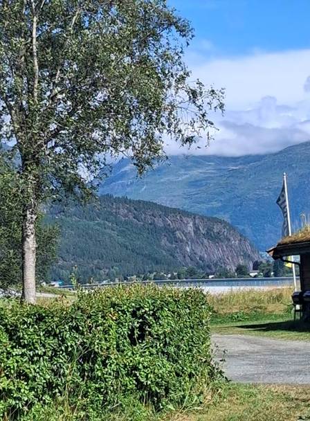 Et billede, der indeholder udendrs, grs, sky, landskab

AI-genereret indhold kan vre ukorrekt.