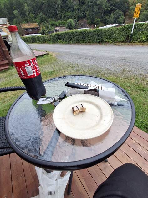 Et billede, der indeholder udendrs, sodavand, flaske, grs

AI-genereret indhold kan vre ukorrekt.