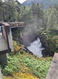Et billede, der indeholder udendrs, plante, vandfald, tr

AI-genereret indhold kan vre ukorrekt.