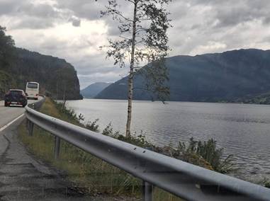 Et billede, der indeholder udendrs, sky, tr, vej/gade

AI-genereret indhold kan vre ukorrekt.