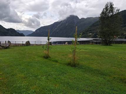 Et billede, der indeholder grs, udendrs, sky, natur

AI-genereret indhold kan vre ukorrekt.