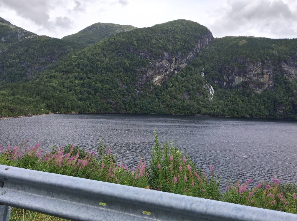 Et billede, der indeholder udendrs, sky, bjerg, plante

AI-genereret indhold kan vre ukorrekt.